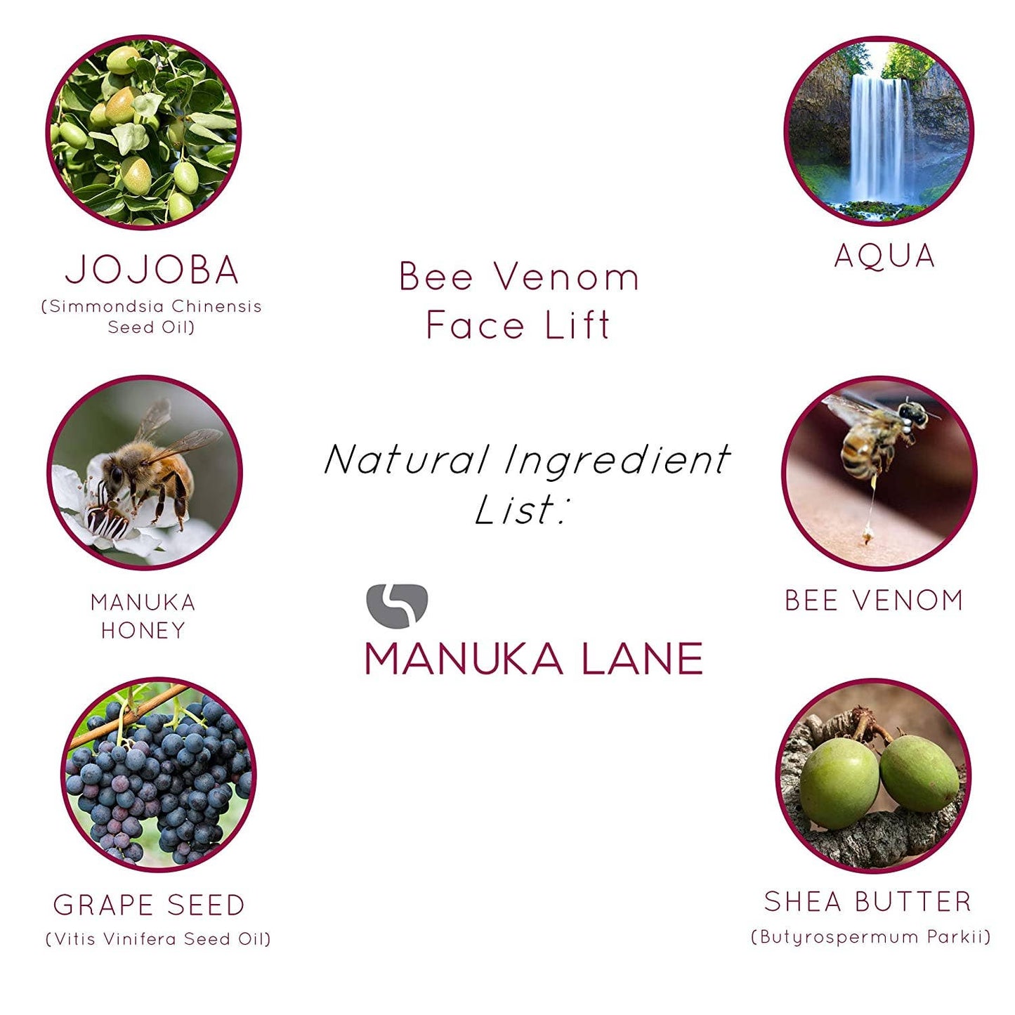Bee Venom Facelift Cream with Manuka Honey, Vitamin E & Hyaluronic Acid (50ml)